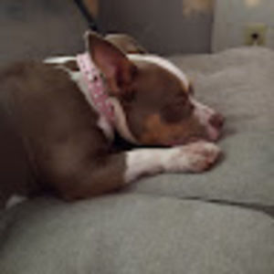 Meet your Posher, Julie